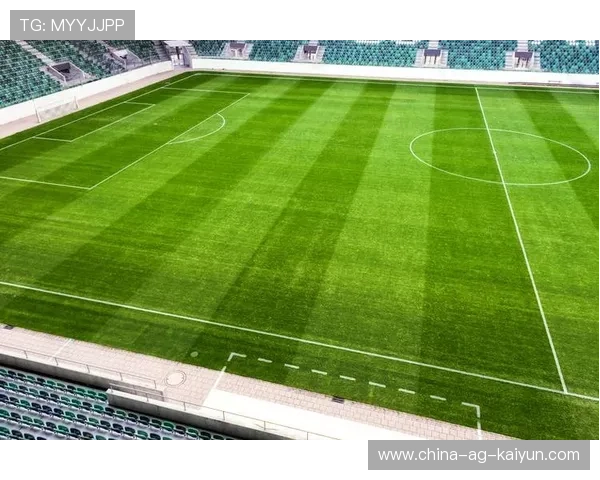 特色足球场馆获多项国际安全环保认证，行业绿色发展，足球场设施